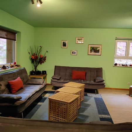 Ferienhaus Route 5 Elmstein Extérieur photo